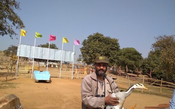 Member of Jharkhand state board of wild life Satya Prakash with a rescued bar headed goose