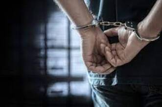 500 Kg cannabis worth 1.25 crore seized in Chhattisgarh, two arrested