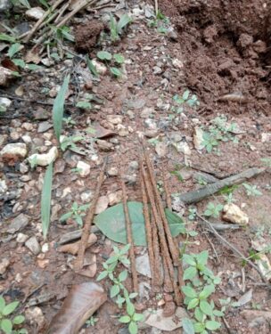 Iron rods recovered from a spike-hole in Naxal-infested Tonto Thana area in West Singhbhum on Thursday