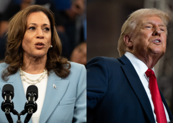 Trump Slams Kamala Harris as “Wasteland” Comment Sparks Debate Ahead of Election