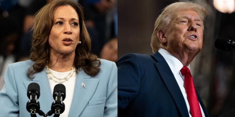 Trump Slams Kamala Harris as “Wasteland” Comment Sparks Debate Ahead of Election