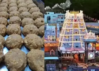 SIT Intensifies Probe into Tirupati Laddu Ghee Adulteration Scandal