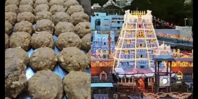 SIT Intensifies Probe into Tirupati Laddu Ghee Adulteration Scandal