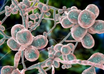Deadly Fungal Infections Evolving Into “Silent Pandemic”, Warn Scientists