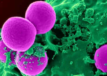 40 Million Deaths from Antibiotic-Resistant Infections Predicted by 2050: Study