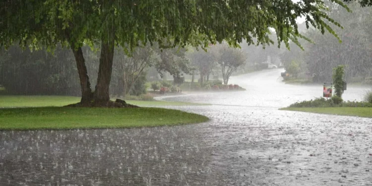 IMD Warns of Extremely Heavy Rain in Uttarakhand, Uttar Pradesh, and Madhya Pradesh