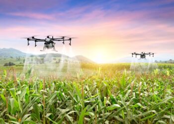 Union Cabinet Approves ₹13,966 Crore Initiatives for Digital Agriculture and Climate Resilience