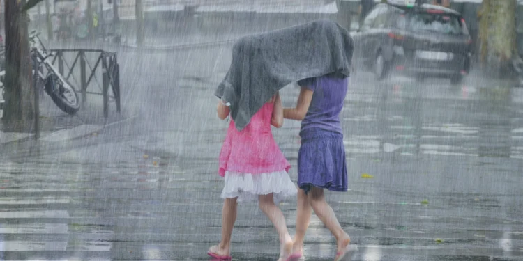 Chennai on Alert with Heavy Rain Warning: Schools Closed, Work from Home Advised