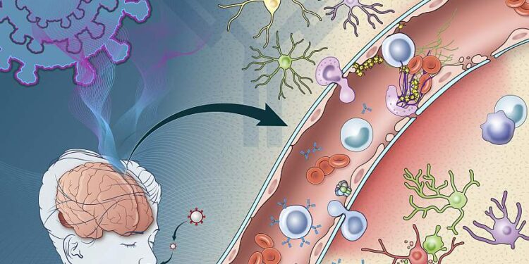 Study Reveals Brainstem Damage as Key Cause of Long-Lasting COVID-19 Symptoms
