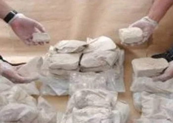 ₹1,800 Crore Worth of Drugs Seized in Major Raid Near Bhopal, 2 Arrested