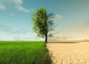 Earth’s Vital Signs at Record Extremes: Future of Humanity at Risk, Warns Study