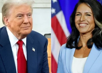Tulsi Gabbard Appointed as US Director of National Intelligence by President-Elect Trump