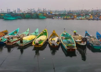 Cyclone Fengal Approaches Tamil Nadu, Heavy Rainfall Predicted; Schools, Colleges Closed
