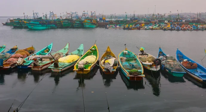 Cyclone Fengal Approaches Tamil Nadu, Heavy Rainfall Predicted; Schools, Colleges Closed
