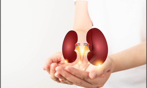 Revolutionary Non-Invasive Test for Early Kidney Disease Detection