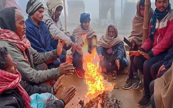 Nation Shivers Under Cold Wave: Jozila Records -22°C as Severe Chill Grips India