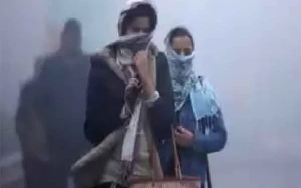 Weather Alert: Cold Wave to Sweep Jharkhand for the Next Three Days