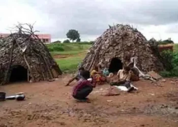 ST-SC Commission Registers Case in Birhor Tribe Deaths, Hazaribagh DC-SP’s Responses Rejected