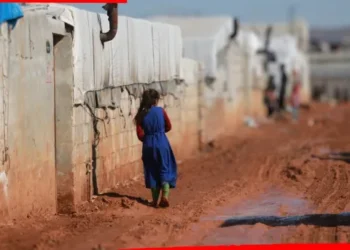 India Ranks 3rd for Illegal Immigrants in US Amid Trump’s Crackdown: Over 7 Lakh at Risk