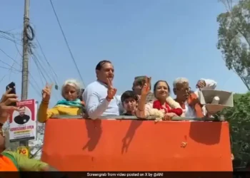 BJP Sweeps Haryana Local Body Polls, Congress Faces Defeat in Hooda Bastion