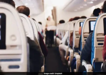 US Man Attempts To Hijack Plane, Shot Dead By Passenger: Report