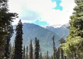 Bravery Amidst Terror: Ponywallahs, Locals Hailed as ‘Angels’ by Tourists in J&K Attack