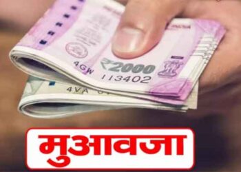 ₹10.19 Crore Compensation Allocated to Victims Across 16 Jharkhand Districts