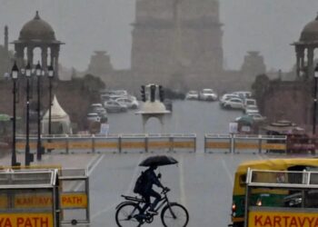 One Killed, Daughter Injured as Tree Falls Amid Heavy Delhi Rains