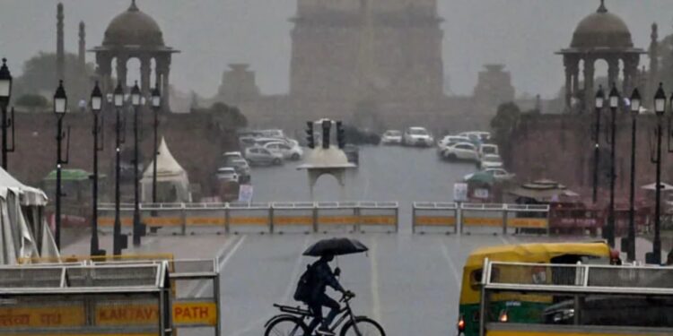 One Killed, Daughter Injured as Tree Falls Amid Heavy Delhi Rains