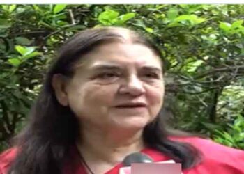 SC Order on Stray Dogs Sparks Row, Maneka Gandhi Calls It Illogical and Risky