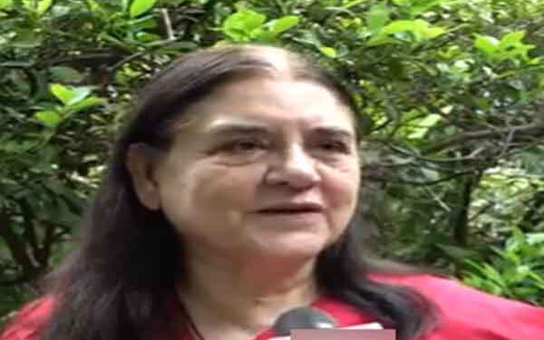 SC Order on Stray Dogs Sparks Row, Maneka Gandhi Calls It Illogical and Risky