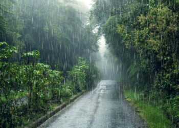 Monsoon Set to Withdraw Early from Jharkhand, IMD Predicts Weaker Showers