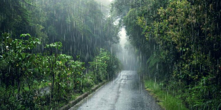 Monsoon Set to Withdraw Early from Jharkhand, IMD Predicts Weaker Showers