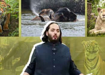 Supreme Court SIT Probes Anant Ambani’s Vantara Wildlife Centre