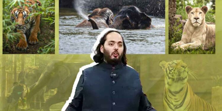 Supreme Court SIT Probes Anant Ambani’s Vantara Wildlife Centre