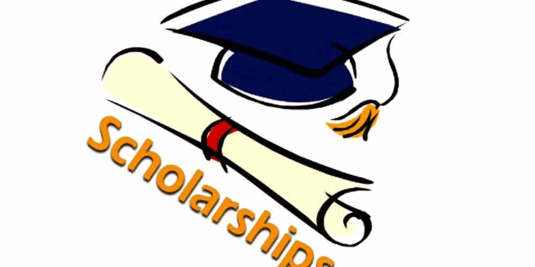 Chhavi Ranjan’s Bail Plea: SC Sets October 10 Hearing, Grants ED More Time