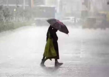 Cyclonic Activity Builds Over Seas, IMD Issues Heavy Rain Alert