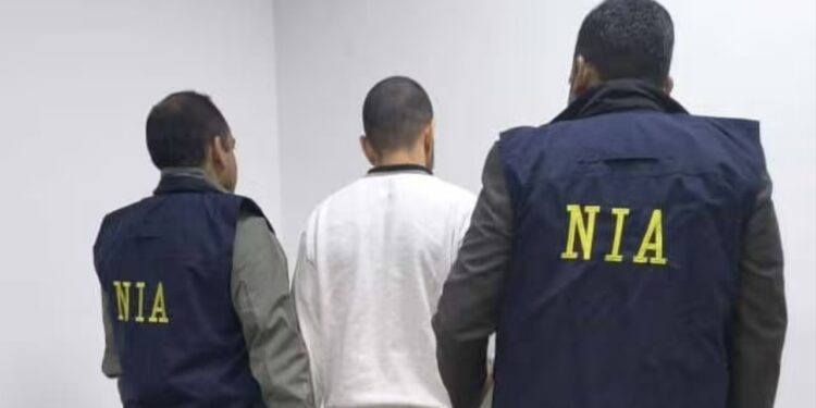 Accused Gangster Anmol Bishnoi Deported From US, Brought To Delhi Under NIA Custody