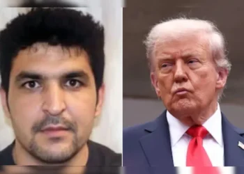 Trump Announces Permanent Pause on Migration From All ‘Third World Countries’ After Washington Trooper Shooting