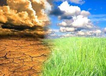 Jharkhand Identifies Carbon Credit Projects Amid Growing Climate Change Threat