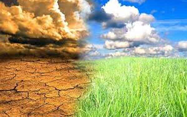 Jharkhand Identifies Carbon Credit Projects Amid Growing Climate Change Threat