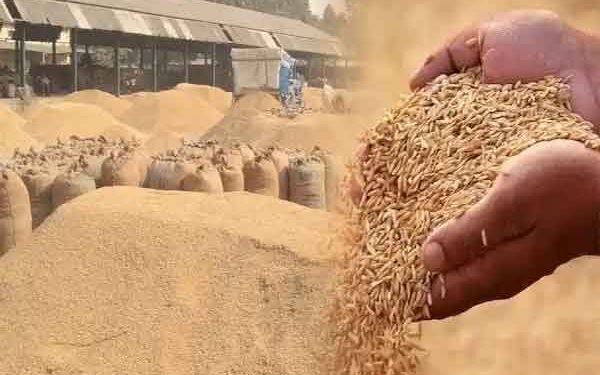 Jharkhand Paddy Procurement Begins, Nearly 18,800 Quintals Bought on Day One