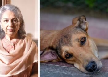 Supreme Court Rebukes Sharmila Tagore’s Plea on Stray Dog Policy