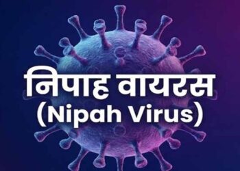 Jharkhand Health Department on Alert Over Nipah Virus, Ranchi Civil Surgeon Clarifies Situation