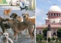 Supreme Court Upholds Order to Remove Stray Dogs From Public Spaces, Rejects All Petitions