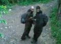 Army Tightens Cordon as Manhunt for Two LeT Terrorists in Shopian Continues into Second Day