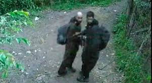 Army Tightens Cordon as Manhunt for Two LeT Terrorists in Shopian Continues into Second Day
