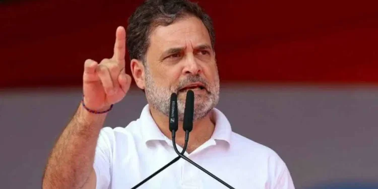 UGC NET: English, Commerce, Sociology Exams Cancelled, Re-Exam Ordered; Rahul Gandhi Targets Modi Govt, NTA