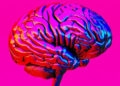 Dementia Specialist Lists Seven Daily Habits to Keep Your Brain Sharp With Age