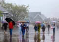 Jharkhand Sees Continued Rain and Thunder Today, Winds Up to 40 kmph Expected